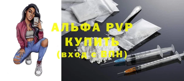 PSILOCYBIN Баксан