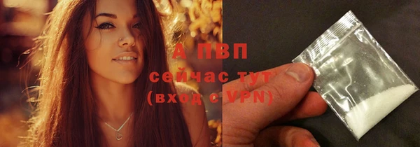 PSILOCYBIN Баксан