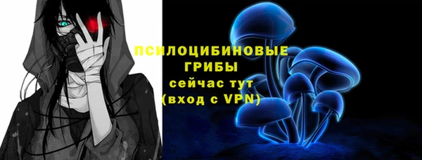 PSILOCYBIN Баксан