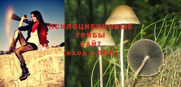 PSILOCYBIN Баксан