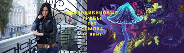 PSILOCYBIN Баксан