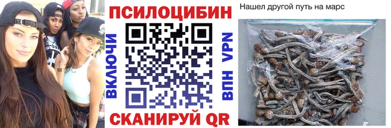 Псилоцибиновые грибы мухоморы  Купить где  Вельск 